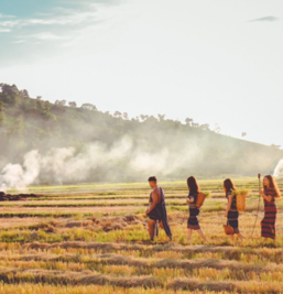 115年原住民族部落大學課程 已開始受理報名